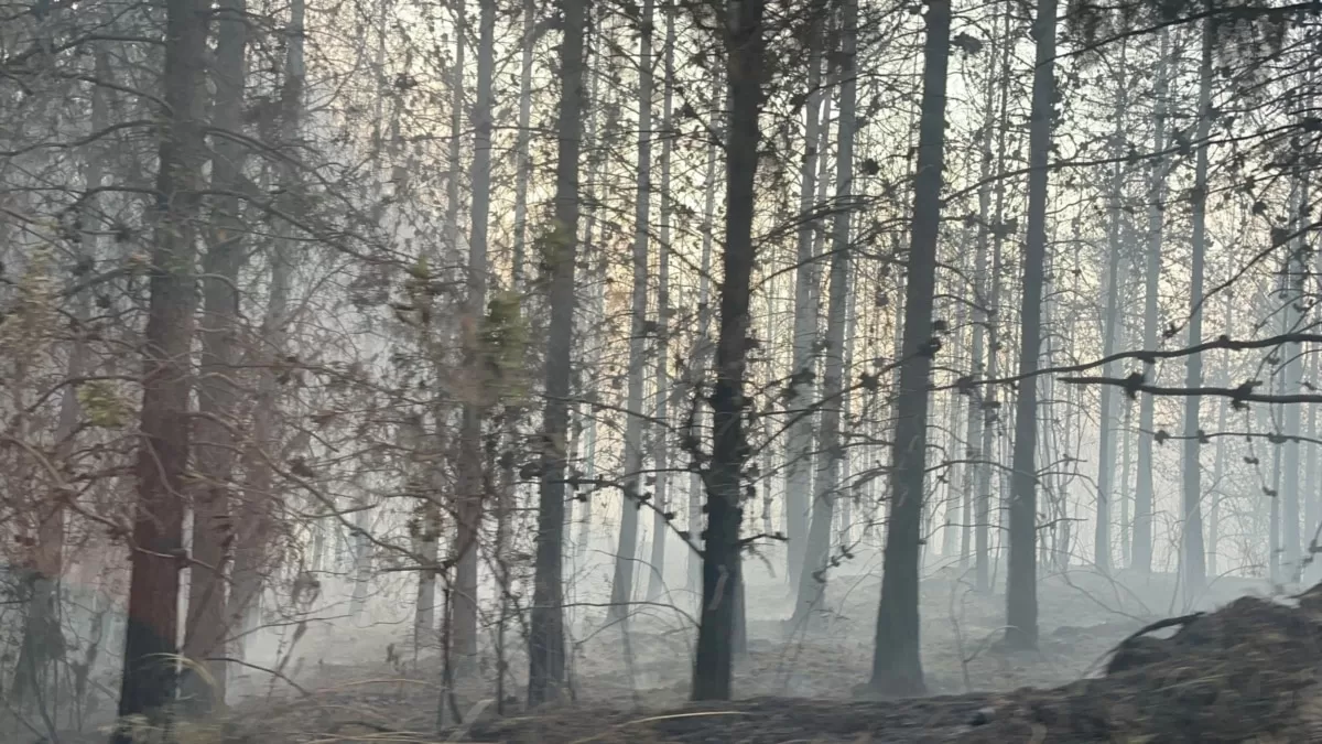 Sigue activo el mayor incendio forestal en Ecuador de los últimos años; Colombia envía apoyo