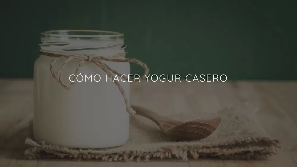 Cómo Hacer Yogur Casero Paso A Paso