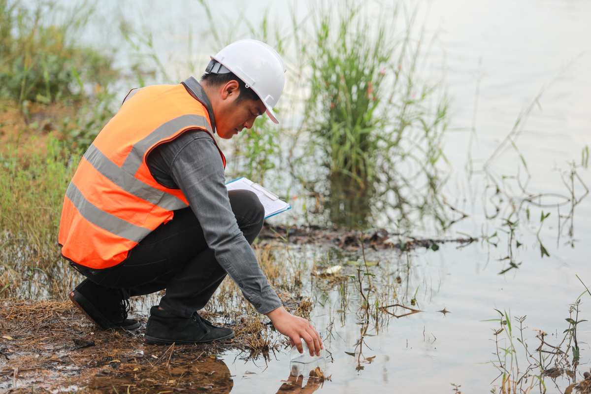 cómo actúa la ingeniería ecológica en la recuperación de ecosistemas dañados