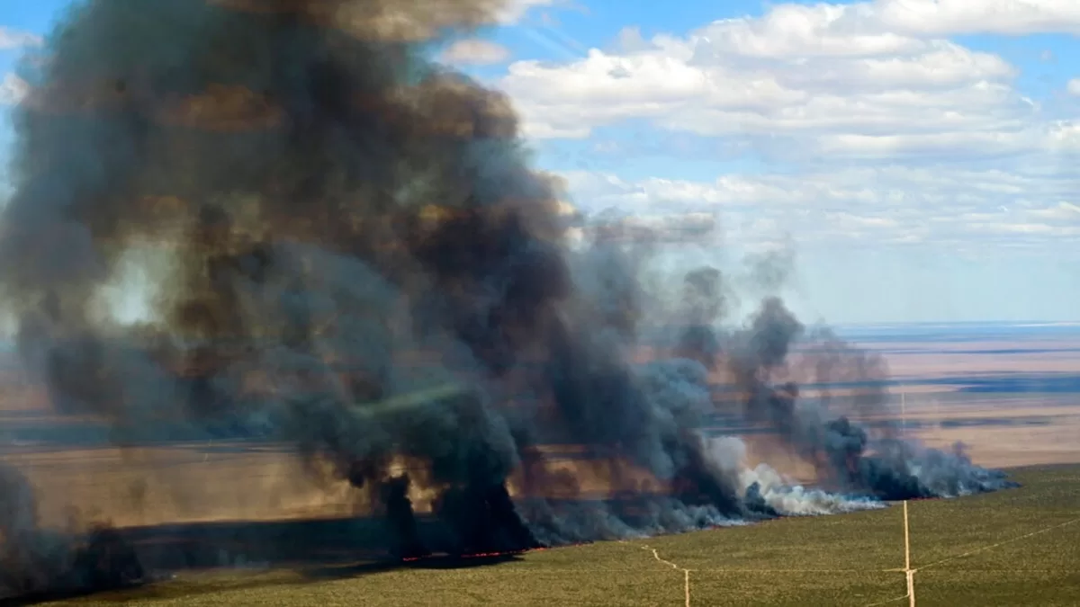 Incendio en parque natural de la Patagonia argentina avanza y ya ha destruido más de 3.000 hectáreas