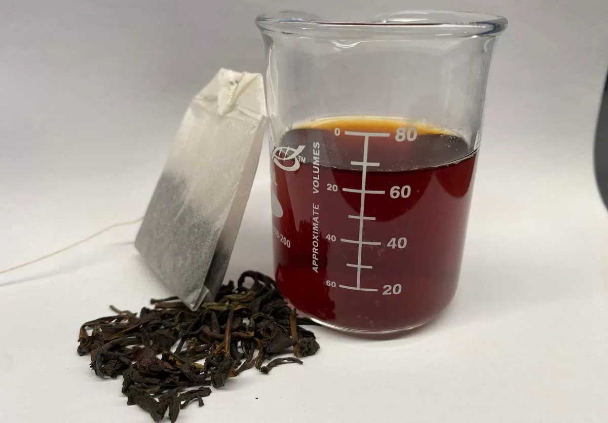 Nuevo estudio demuestra que preparar té absorbe de forma natural metales pesados ​​como el plomo y el cadmio, filtrando eficazmente los contaminantes peligrosos de las bebidas