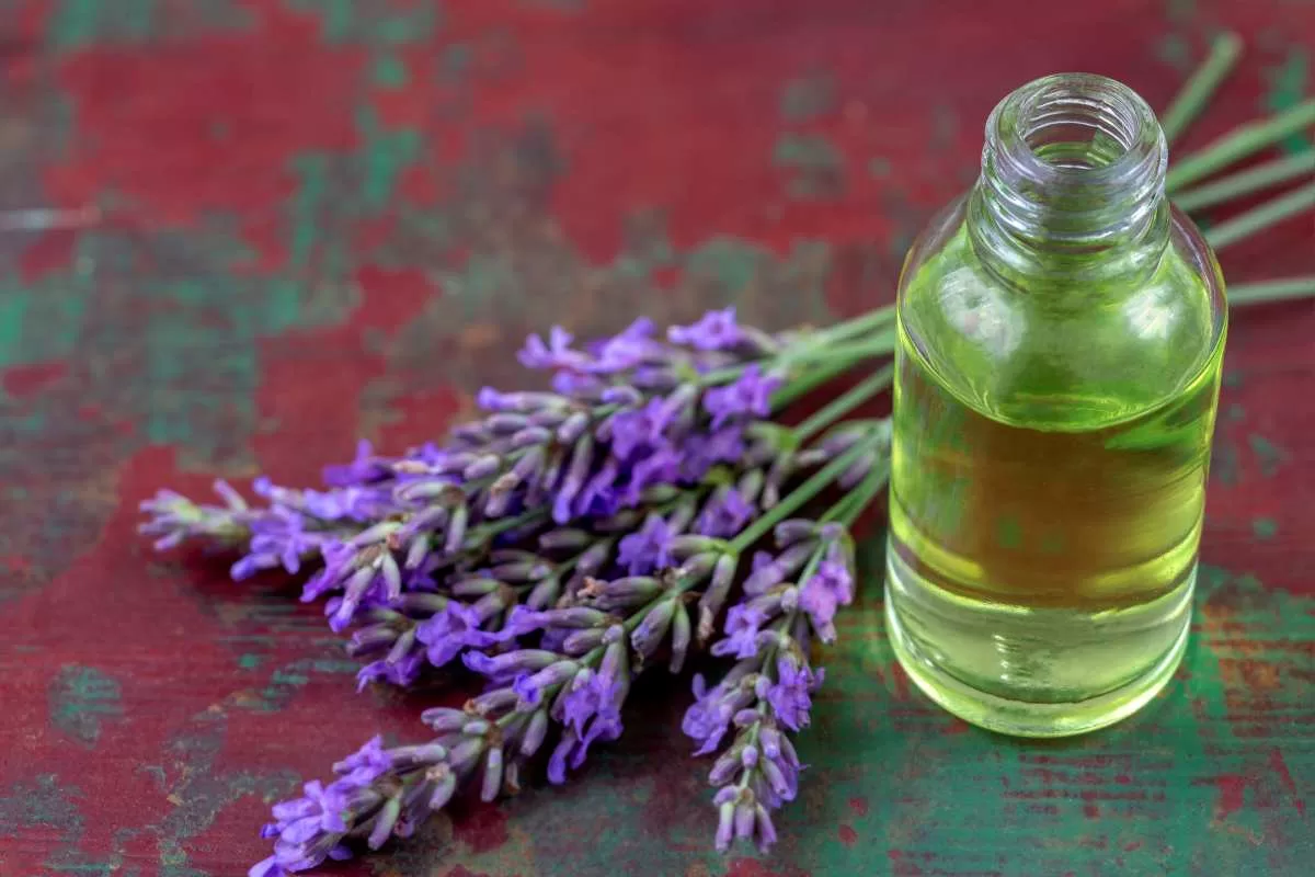 8 usos del aceite esencial de lavanda que te sorprenderán