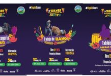 Hoy domingo en el parque Las MALOCAS, se vive una fiesta que también galopa con la tradición del coleo y la cultura llanera