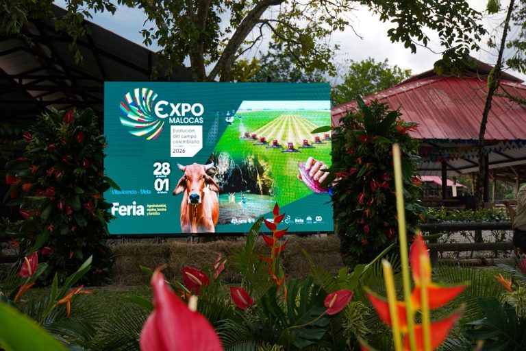 WhatsApp Image 2026-01-21 at 10.42.33 PM