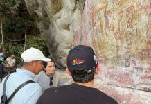 Hallazgo de pictogramas milenarios en Puerto Concordia abre nueva ruta de investigación arqueológica en el Meta