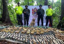 Ejército y Policía Nacional neutralizan 190 granadas adaptadas para drones de la estructura residual Martín Villa en El Castillo, Meta