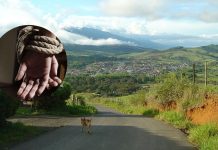 Alerta en zona rural de Jamundí, Valle: disidentes robaron una tractomula con maquinaria amarilla y tienen secuestrados a su conductor y al ayudante