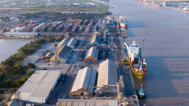 67ca1a664c609.r_d.1039-868-0