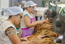 ‘Por cada 100 pesos que las empresas en el Valle generan, 77 regresan a la sociedad en salarios’: panorama del ‘5° Reporte empresarial consolidado’