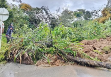 Emergencia en el norte del Cauca: lluvias desbordadas inundan viviendas, destruyen cultivos y dejan municipios incomunicados