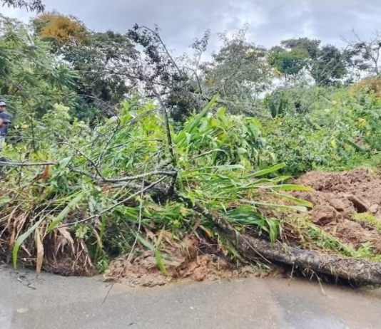 Emergencia en el norte del Cauca: lluvias desbordadas inundan viviendas, destruyen cultivos y dejan municipios incomunicados