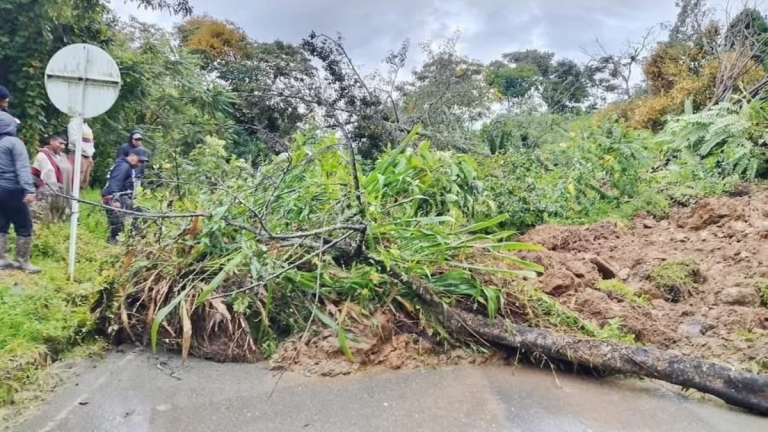 69bd4bc828d48.r_d.705-368-0