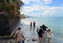 La erosión costera está arrasando una de las playas emblemáticas en el sur de Santa Marta, y deja sin trabajo a operadores turísticos
