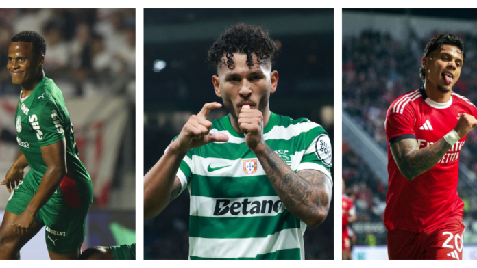 69c0975b7b9ff.r_d.600-267-0