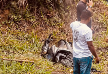 Un padre y su hijo murieron en un grave accidente en el Valle: su moto chocó contra un tractocamión en una carretera del municipio de Dagua