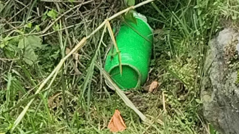 69c300811d19f.r_d.449-799-0