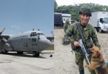Historia del militar que no subió al avión Hércules C-130, accidentado en Puerto Leguízamo, Putumayo: el hombre no habría entrado gracias a su perro