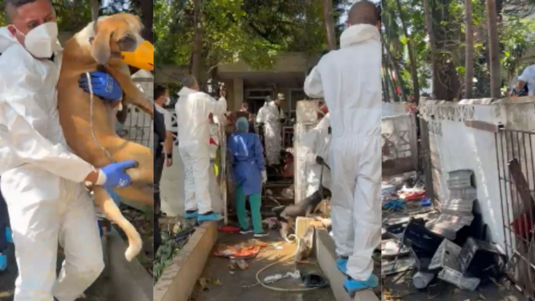 69c57327d5793.r_d.960-540-0