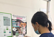 Rescate de más de 80 animales en Barranquilla: el Distrito asegura que intervención en vivienda evidencian condiciones insalubres y maltrato