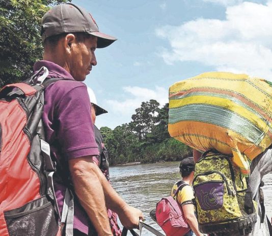 Más de 200 familias se desplazan en Cumbitara, Nariño por enfrentamientos armados: persiste la tensión por control territorial