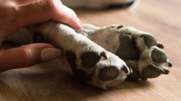 67ec2e3a573de.r_d.467-280-0