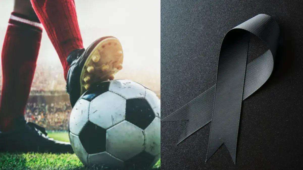 6899e2db28235.r_d.369-590-0