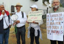 Aberrante caso de maltrato animal en Nariño: de un restaurante le arrojaron agua hirviendo a un perrito con hambre y al huir murió atropellado