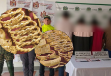 El modus operandi de ‘Los Caminantes’: así seguían a sus víctimas para robarles joyas de oro en una seguidilla de atracos en El Socorro, Santander