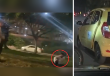 Taxista en Antioquia golpea con bate en la cabeza a joven de 23 años tras accidente: la víctima está en UCI