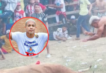 Conmoción por el asesinato de Carlos Zúñiga, el ‘Superman de las corralejas’, figura reconocida de estas fiestas populares en el Magdalena