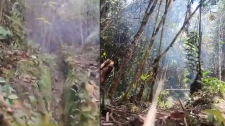 69d194dba51a8.r_d.1006-425-0