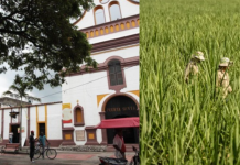 El ‘viacrucis’ de unas 700 familias de Valle y Cauca por el cierre del ingenio azucarero María Luisa: elevan clamor al Gobierno por crisis económica