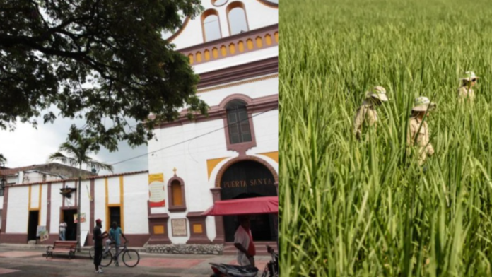 69d2776b5b155.r_d.271-561-0