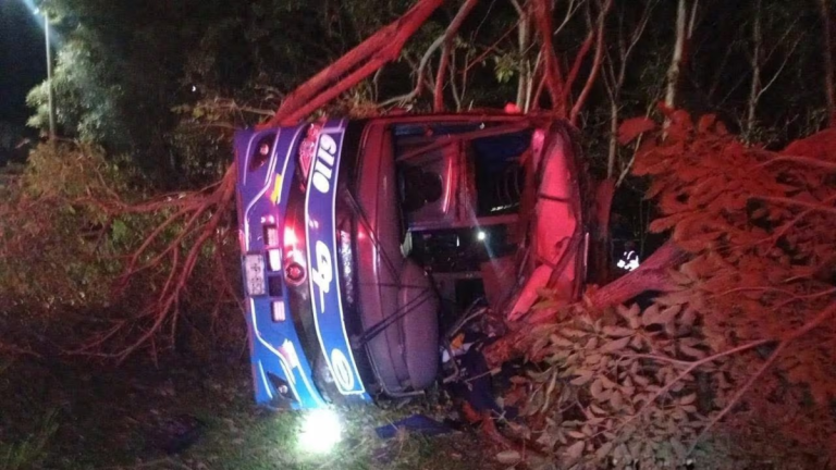 69d5156c87d58.r_d.556-260-0