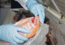 SECRETARÍA DE SALUD PIDE EXTREMAR CUIDADOS AL COMPRAR PESCADO EN SEMANA SANTA