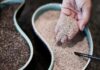 Alimentación y Salud Ósea: 5 Alimentos que Ayudan a Fortalecer tus Huesos