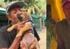 Robo de Cielo: La fostuición de Rescate de Animales de San Andrés sufre un trauma que ejea su misión