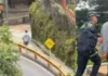En Envigado, un Hurto de Zapatos Desata un Tiroteo en Centro Comercial