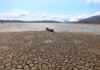 Crisis hídrica en Santander: caudales de ríos principales caen por debajo del 50% debido a factores climáticos y antrópicos