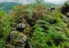 Ejército Repelió Ataque a Base Militar en Inzá, Cauca: Clases Suspendidas Preventivamente