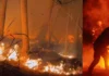 Incendio forestal en Tolima obliga a campesino a llamado de auxilio y afecta a 14 municipios