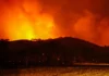 Múltiples incendios forestales sacuden Colombia: bomberos, Policía y Defensa Civil despliegan contingencia en Tolima y Valle del Cauca