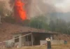 El fuego al acecho: familias escapan milagrosamente en Tolima tras el reavivado de un incendio a metros de sus viviendas