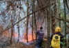 Fierce Wildfires Ravage Tolima’s Rural Landscape, Threatening Lives and Heritage