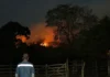 Incendios en Tolima y Salamina: 2.660 productores damnificados y nueva emergencia en Caldas