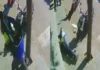 Agente de tránsito agredido en Santander: el video del comparendo es la clave para capturar al autor