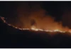 Villa de Leyva: 400 hectáreas arrasadas por incendio forestal que amenaza la biodiversidad regional