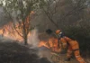 Valle del Cauca enfrenta emergencia ambiental crítica: tres frentes de incendio forestal consumen páramos y desafían capacidad operativa