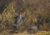 Incendio en Villa de Leyva afecta gravemente a la fauna del Santuario de Iguaque mientras Corpoboyacá intensifica la búsqueda de especies
