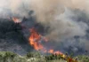 Incendio en Villa de Leyva entra en fase de liquidación mientras persisten focos en La Colorada
